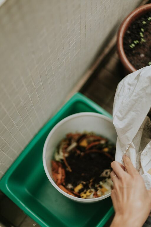 Beginner Tips for Composting at Home: Start Your Eco-Friendly Journey